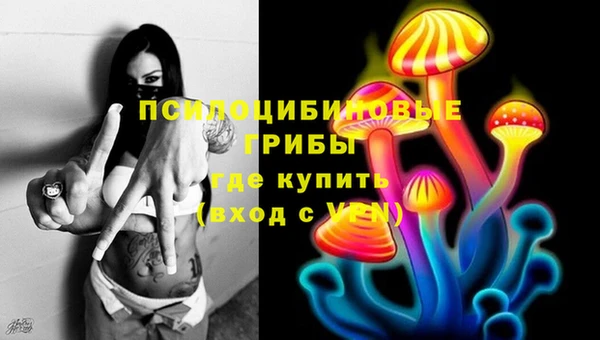 ГАЛЛЮЦИНОГЕННЫЕ ГРИБЫ Красноперекопск