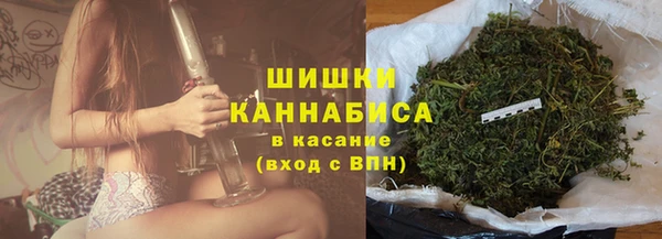 ГАЛЛЮЦИНОГЕННЫЕ ГРИБЫ Краснотурьинск