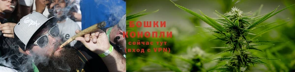 ГАЛЛЮЦИНОГЕННЫЕ ГРИБЫ Красноперекопск