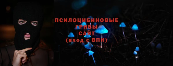 ГАЛЛЮЦИНОГЕННЫЕ ГРИБЫ Красноперекопск
