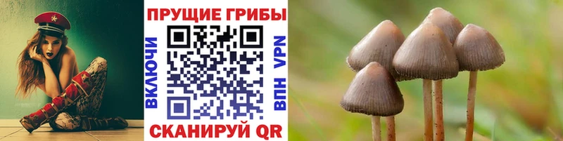 Псилоцибиновые грибы мухоморы  купить наркоту  Сураж 